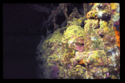 GasTanks inside Wreck Victory in the Maldives by Andy Kutsch 